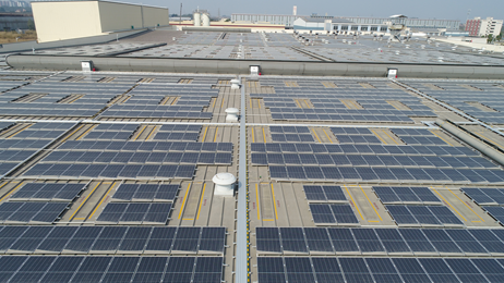 綠色創新，陽光動力 維他檸檬茶積極布局新能源，以太陽能發電助力碳達峰、碳中和